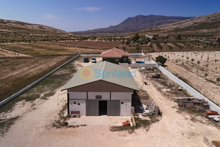 Resale - Country house - Torre Del Rico