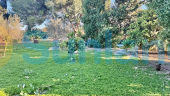 Resale - Villa - Guardamar del Segura