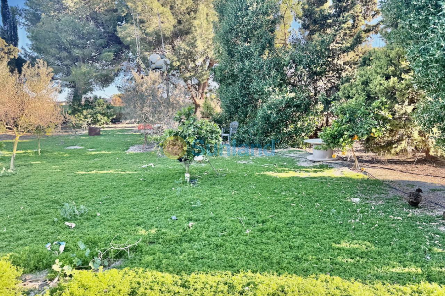 Resale - Villa - Guardamar del Segura