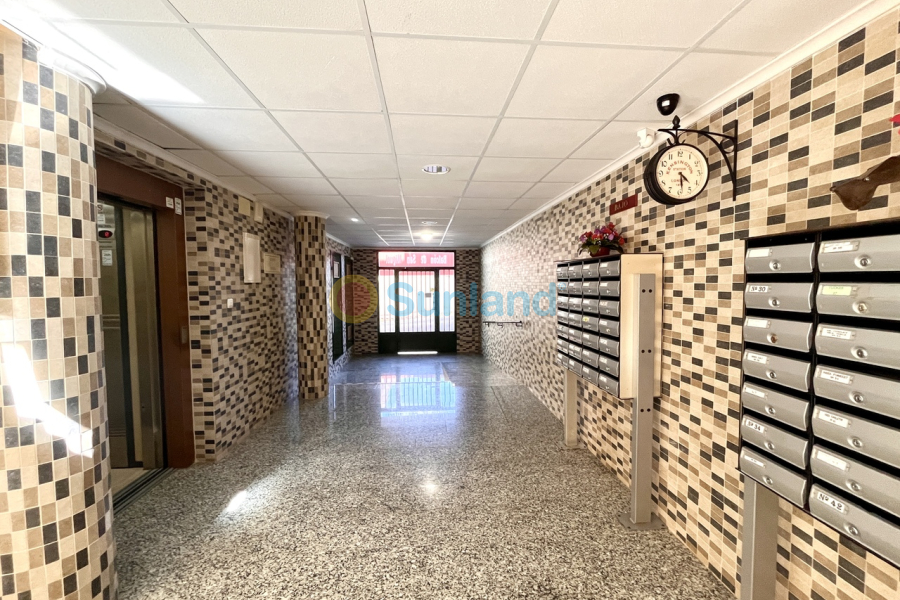 Segunda mano - A - San Miguel De Salinas