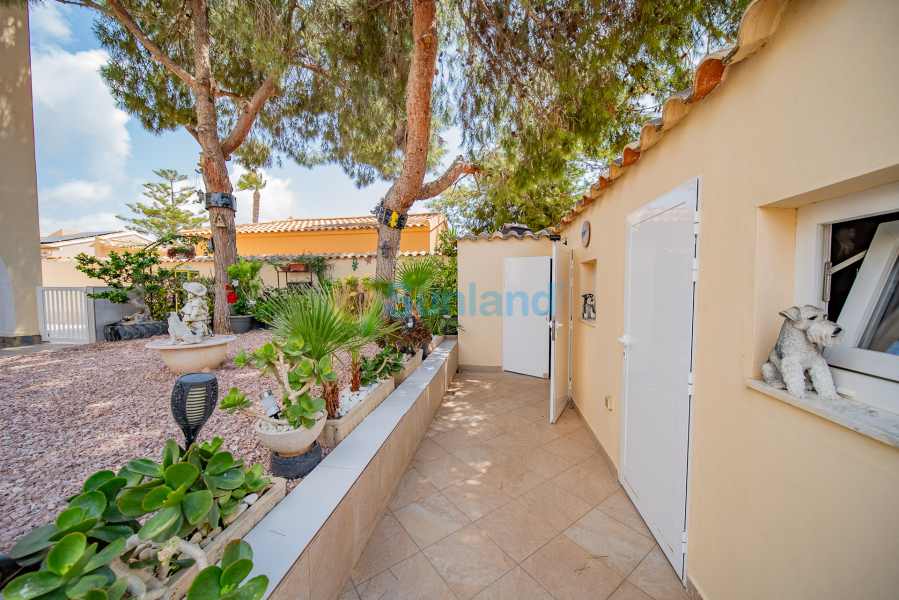 Brukte eiendommer - Villa - Orihuela Costa - La Florida