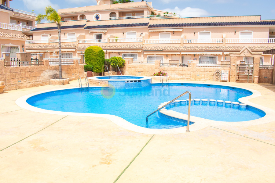 Segunda mano - Adosado - Orihuela - Villamartín