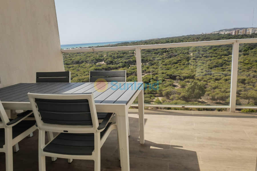 Resale - Apartment - Guardamar del Segura - 