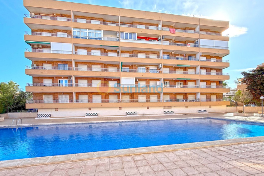 Вторичка - Апартамент - Orihuela Costa - Punta Prima