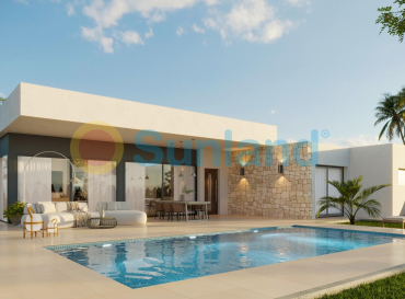 Villa - New Build - Aspe - Poligono 19