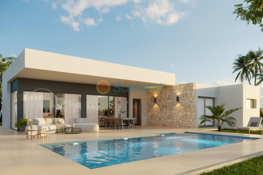Nueva construcción  - Chalet - Aspe - Poligono 19