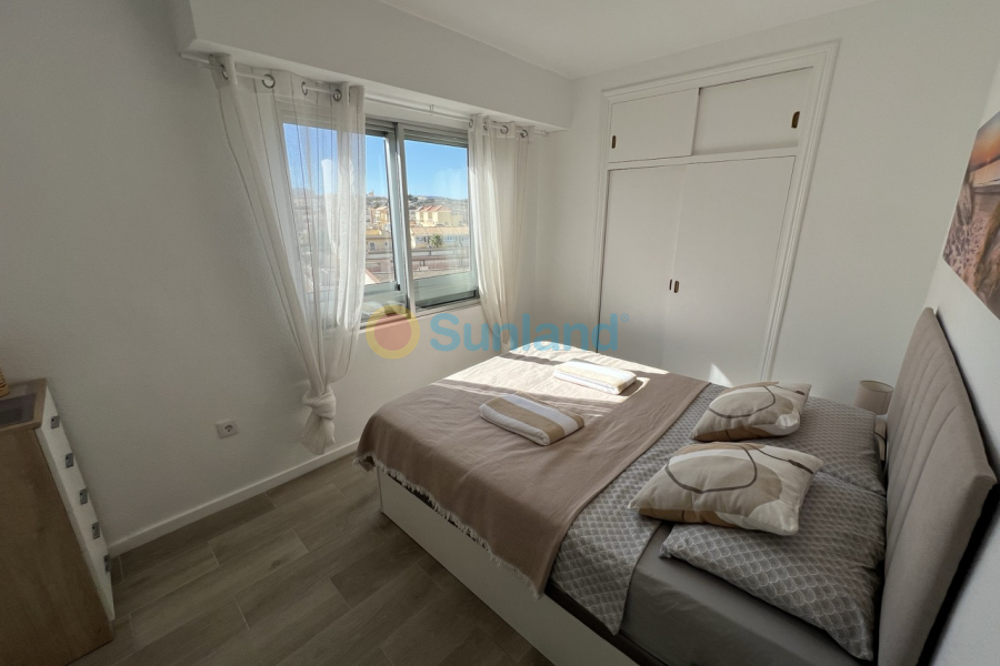 Använda fastigheter - Apartamento - Torrevieja - La Mata