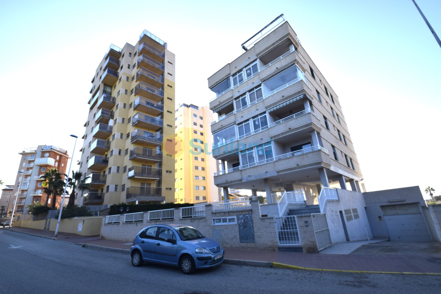 Resale - Apartment - Guardamar del Segura - 