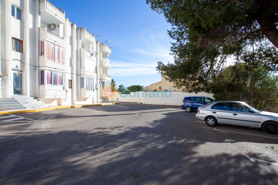 Brukte eiendommer - Flat - Ciudad Quesada - Rojales - Rojales