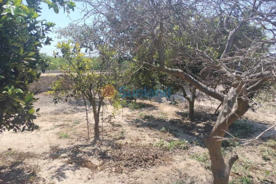 Brukte eiendommer - Country house - Rojales - Ciudad Quesada