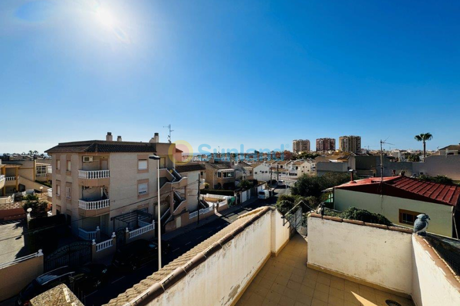 Segunda mano - Duplex - Torrevieja - La Rosaleda