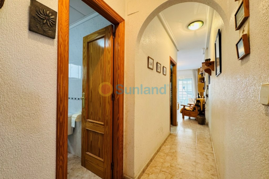 Brukte eiendommer - Leilighet - La Mata - Torrevista Playa