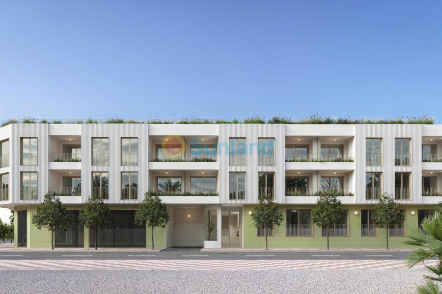 New Build - Penthouse - Jacarilla - pueblo