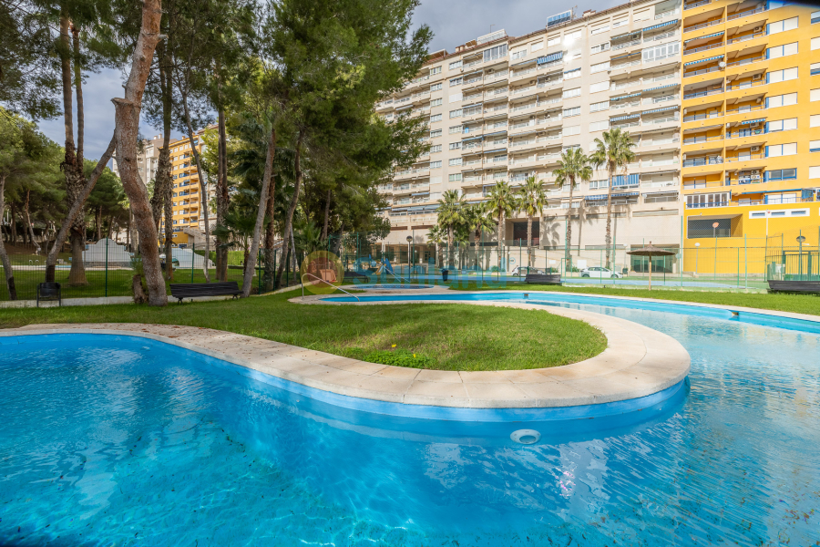 Resale - Apartamento - Orihuela Costa - Campoamor