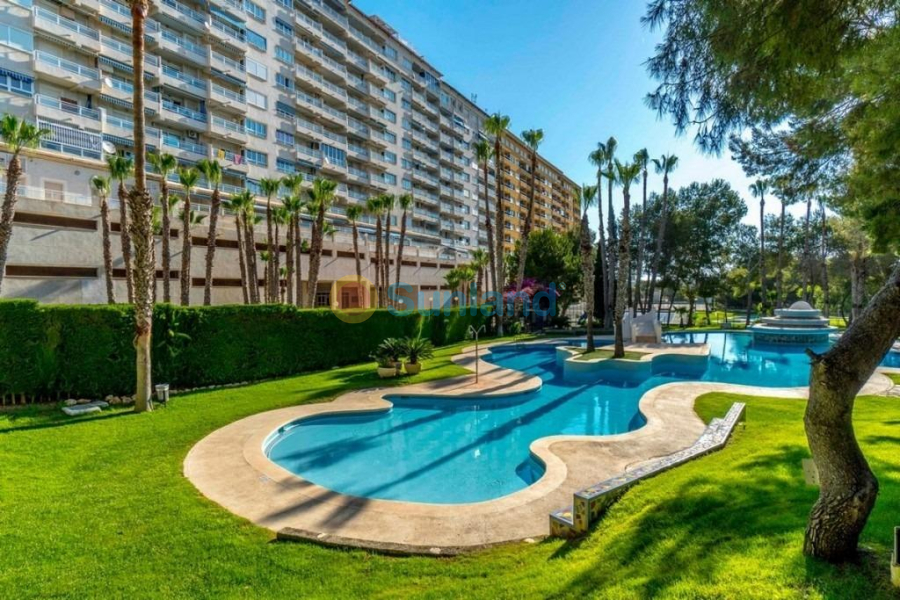 Resale - Apartment - Orihuela Costa - Altos de Campoamor