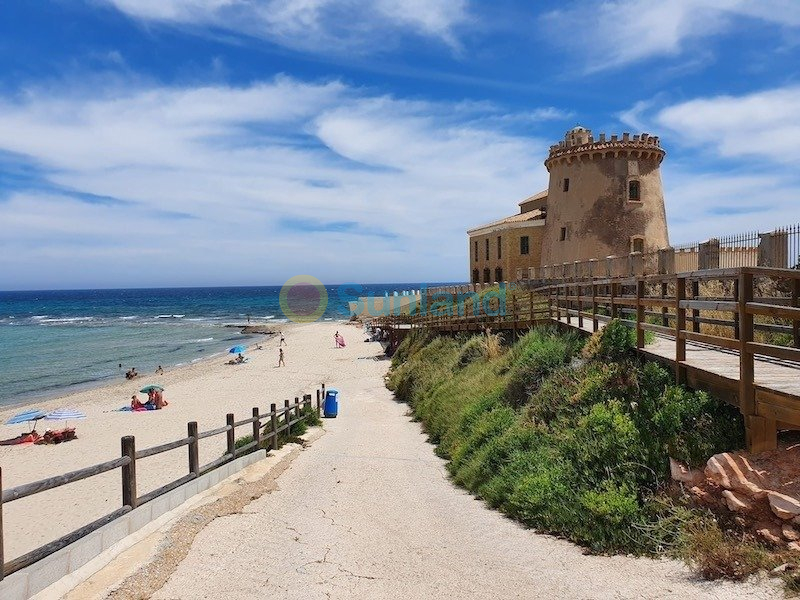 New Build - Villa - Pilar de la Horadada - pueblo