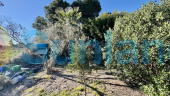 Resale - Villa - Guardamar del Segura