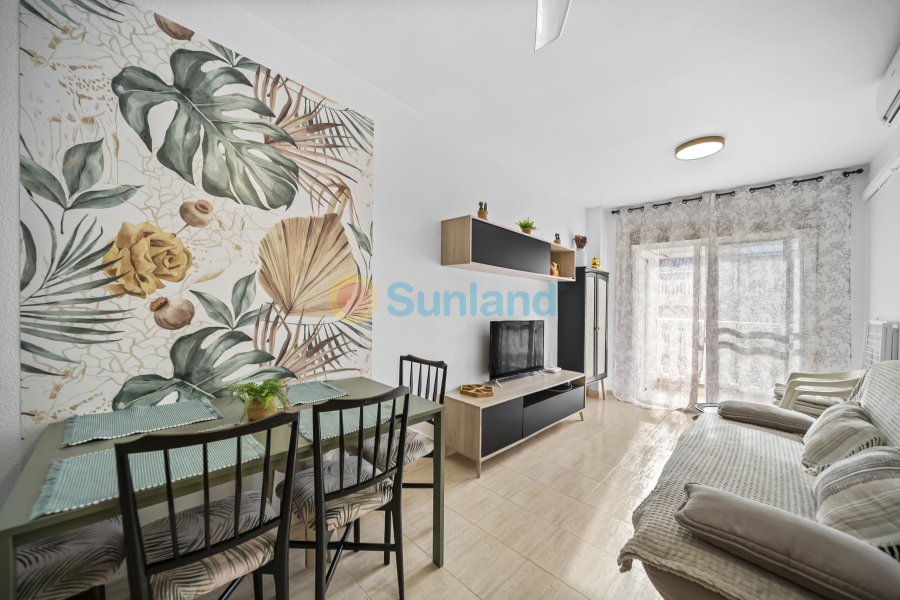 Använda fastigheter - Apartamento - Torrevieja - Centro