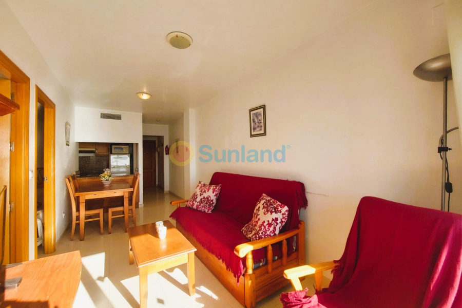 Segunda mano - Apartamento - Torrevieja - Playa de Los Locos