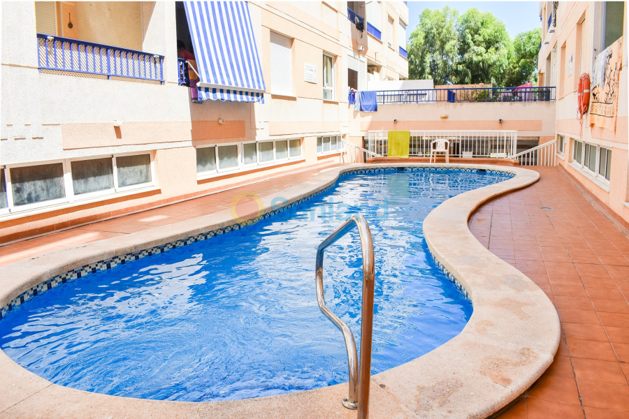 Resale - Apartment - Guardamar del Segura - 