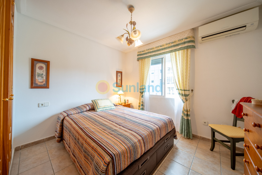 Segunda mano - Casa de Pueblo - Torrevieja - Torreblanca