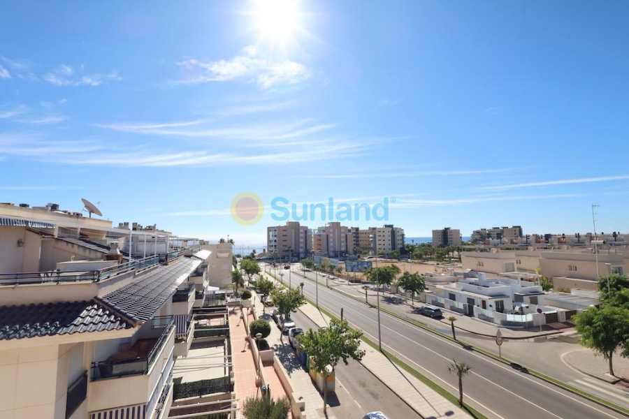 Brukte eiendommer - P - Pilar de la Horadada - Mil Palmeras