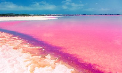 New Build - Apartment - Flat - Torrevieia - La Siesta