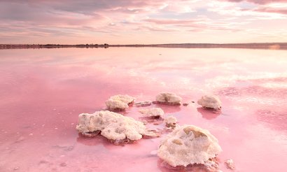 New Build - Apartment - Flat - Torrevieia - La Siesta