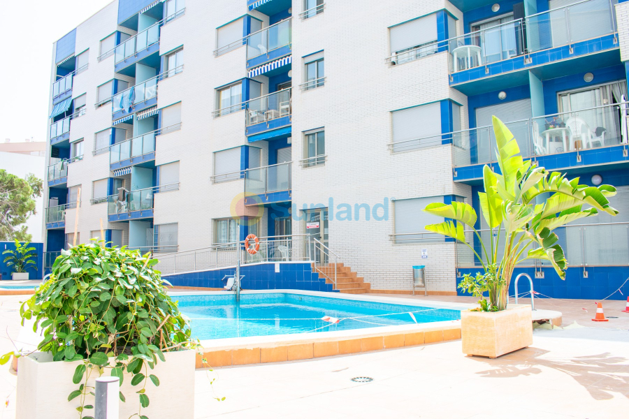 Segunda mano - Apartamento - Torrevieja - Playa Los Locos