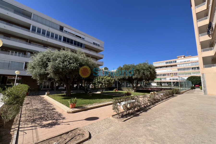 Segunda mano - Apartamento - Torrevieja - La Veleta