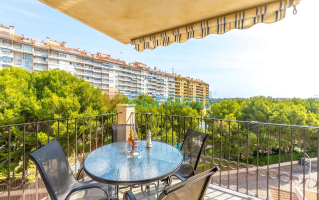 Apartment - Resale - Orihuela Costa - Campoamor