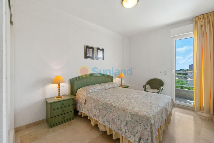 Segunda mano - Apartamento - Orihuela - Zona Centro