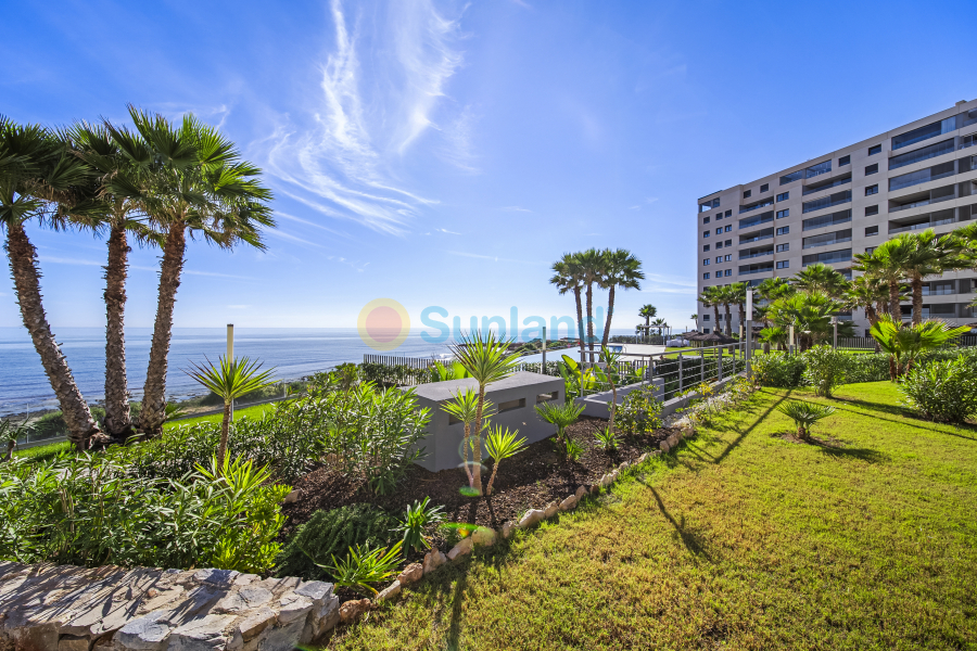 Använda fastigheter - Apartamento - Torrevieja - Punta Prima