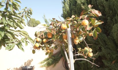 Resale - Villa - Rojales - Ciudad Quesada