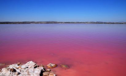 Neubau - Haus - Los Montesinos