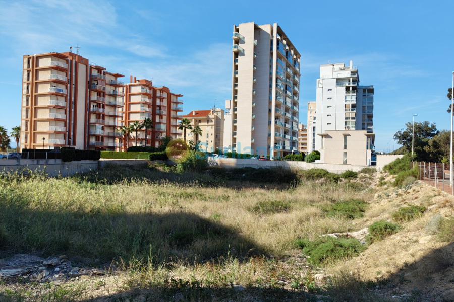 Resale - Land - Guardamar del Segura - 