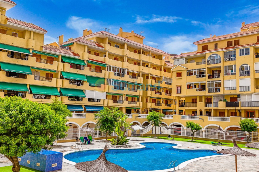 Verkauf - Apartamento - Torrevieja - La Mata