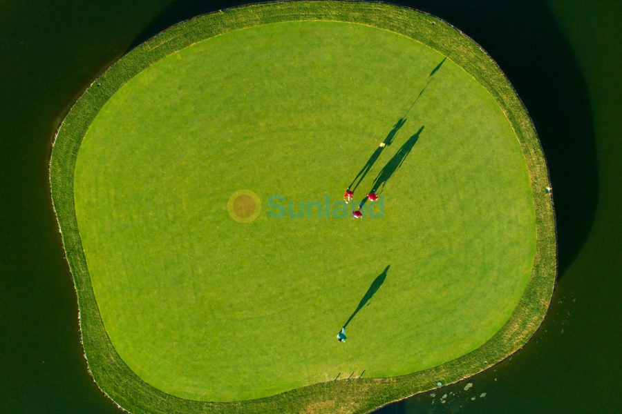 Ny bygg - Villa - Pilar de la Horadada - Lo Romero Golf