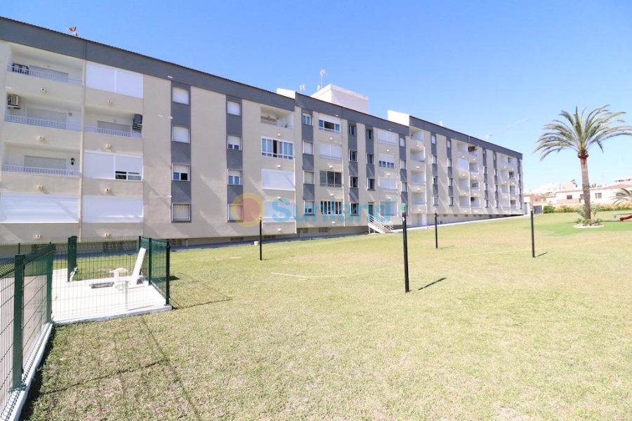 Segunda mano - Apartamento - Torrevieja - Punta Prima