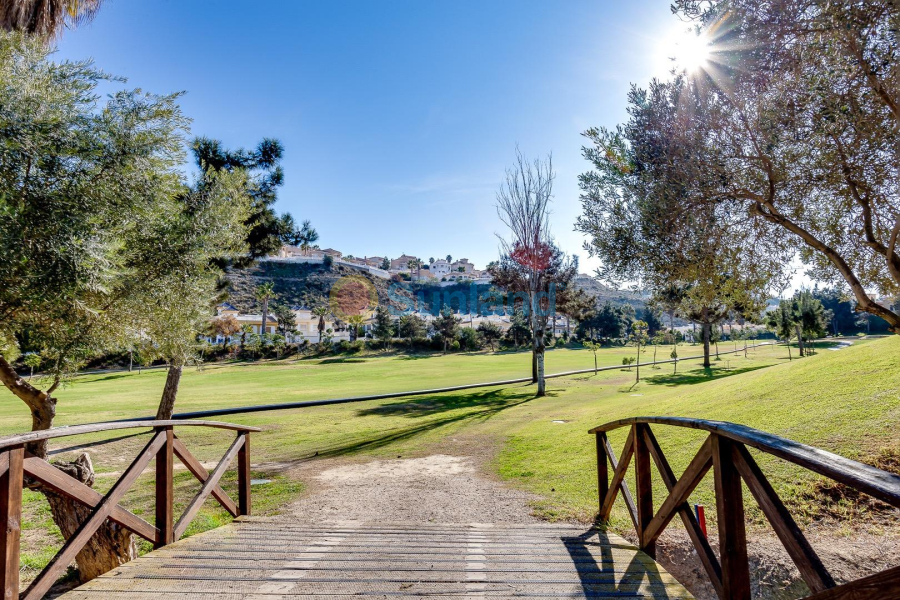 Segunda mano - Adosado - Ciudad Quesada - Altos del golf ii