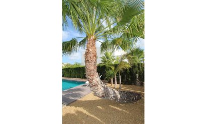 Resale - Villa - Rojales - Ciudad Quesada