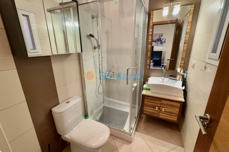 Använda fastigheter - Lägenhet - Formentera del Segura