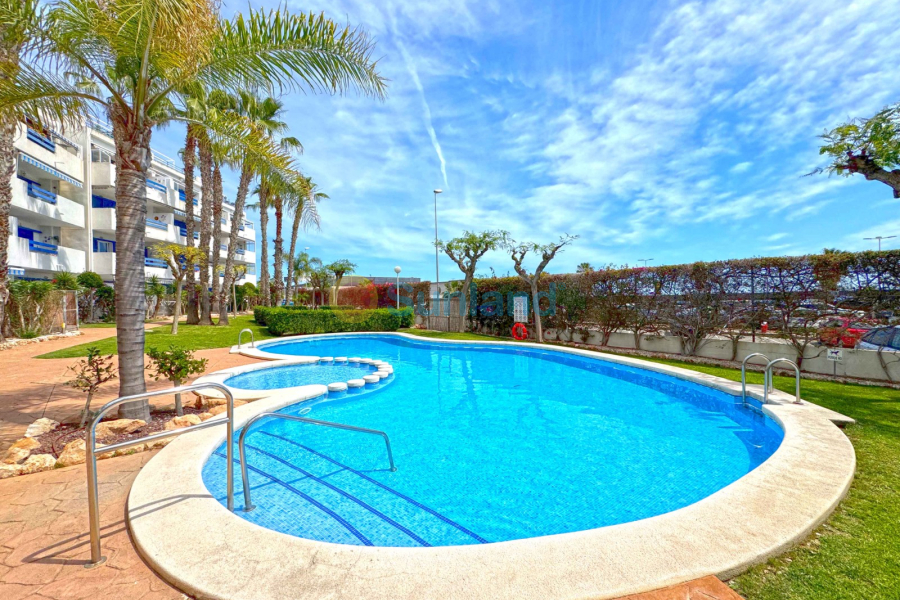 Segunda mano - Apartamento - Orihuela Costa - Playa Flamenca