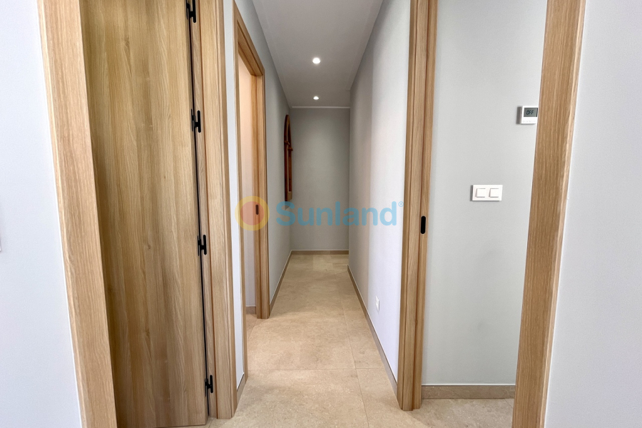 Segunda mano - P - Torre De La Horadada