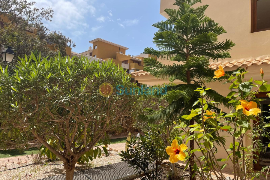 Resale - Apartment - Torrevieja - 