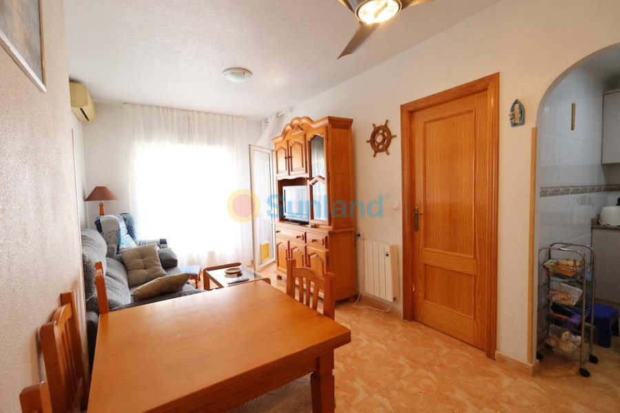 Segunda mano - Apartamento - Torrevieja - Acequion