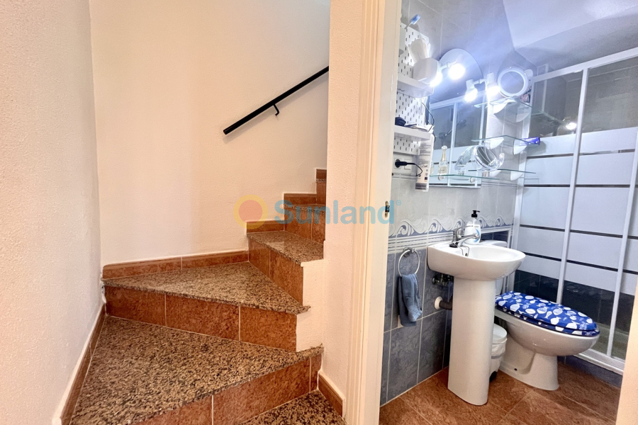 Använda fastigheter - T - Los Montesinos