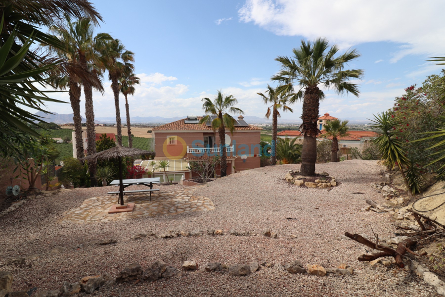 Segunda mano - Chalet - Algorfa - Lomas de La Juliana