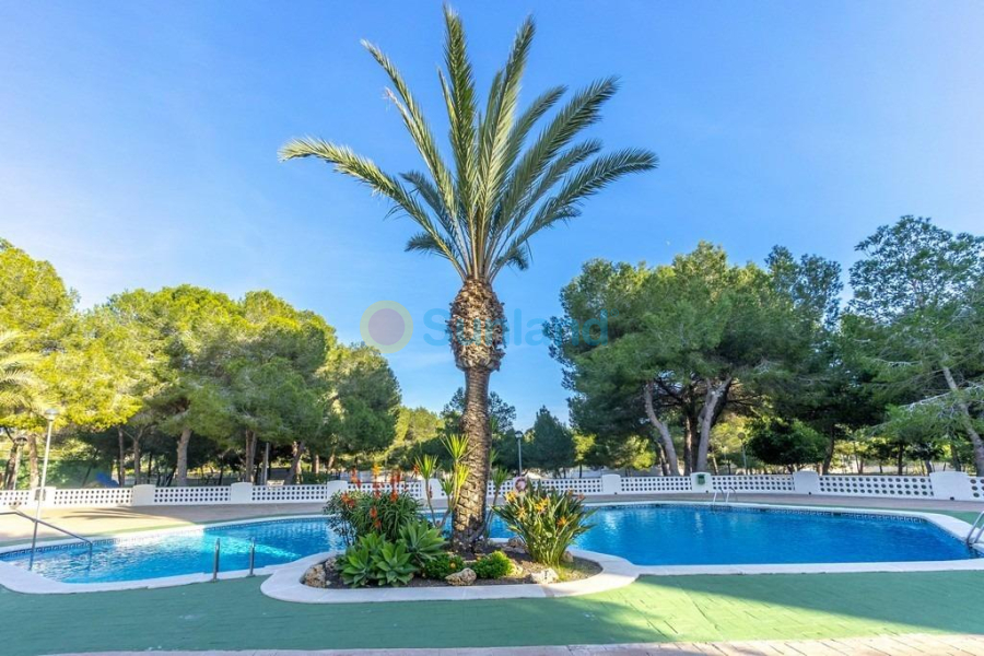 Resale - Apartment - Orihuela Costa - Altos de Campoamor