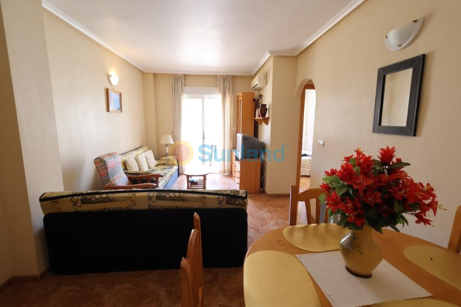 Segunda mano - A - Torrevieja - El Molino